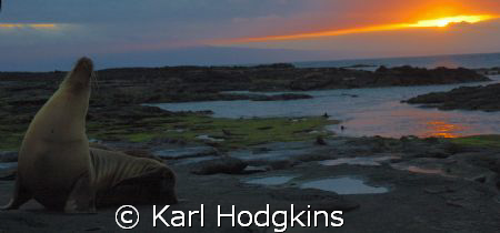 Sunset in the Galapagos by Karl Hodgkins 